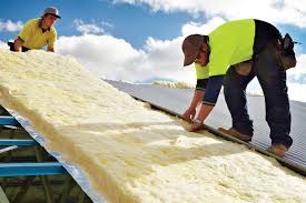 Best Insulation Removal  in Eastland, TX